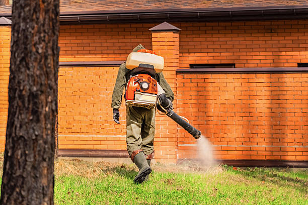 Trusted Cockroach Control service in Blasdell, NY - Nex Pest Control